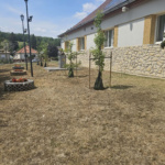 sokoropatka_zold_oazis_11 sokoropatka_zold_oazis_11