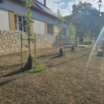 sokoropatka_zold_oazis_3 sokoropatka_zold_oazis_3