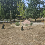 sokoropatka_zold_oazis_5 sokoropatka_zold_oazis_5