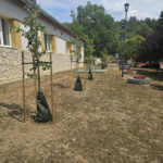 sokoropatka_zold_oazis_9 sokoropatka_zold_oazis_9